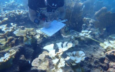 Science Publishes M:IR Data